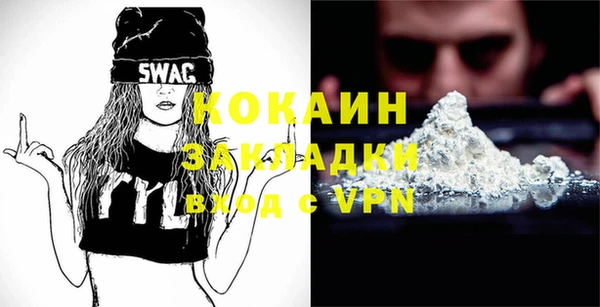 индика Весьегонск