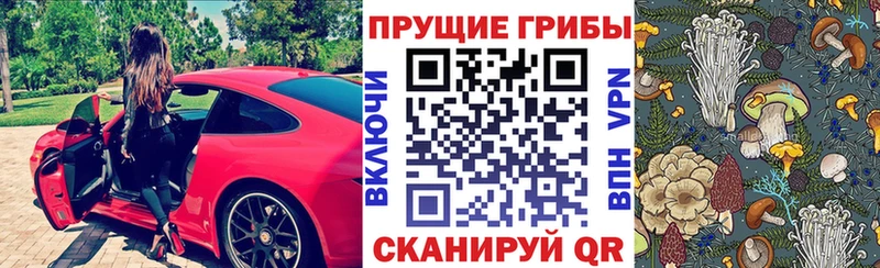 Псилоцибиновые грибы MAGIC MUSHROOMS Медынь